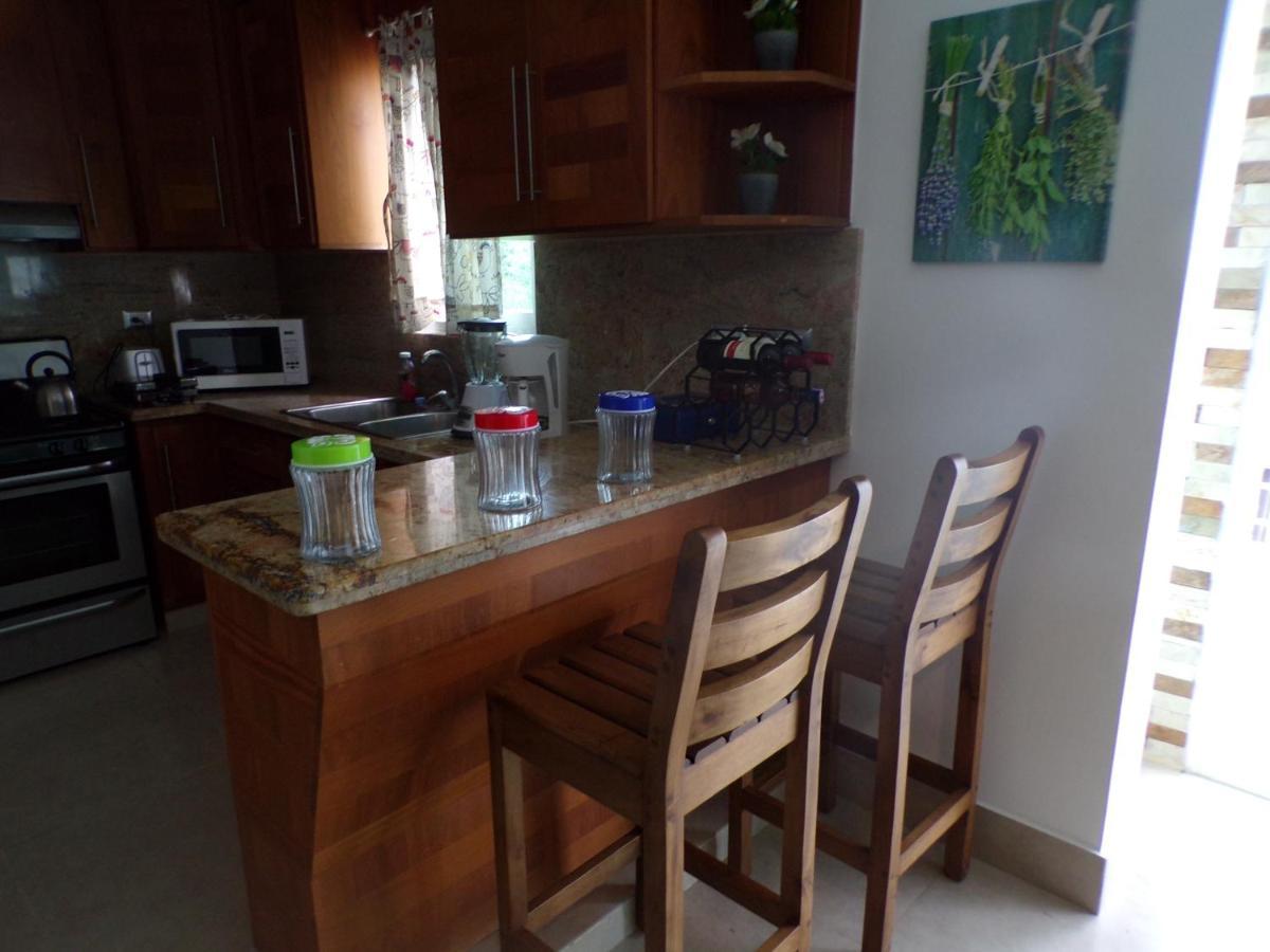 Luxury In The Caribbean Apartman Sosúa Kültér fotó